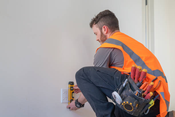 Best Affordable Electrician  in Bonnie Brae, IL